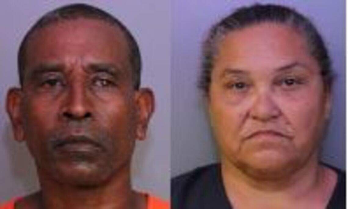 13 arrested in Polk County, Florida cockfighting raid | Miami Herald